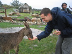 Can you believe it??  We got to feed kangaroos!!