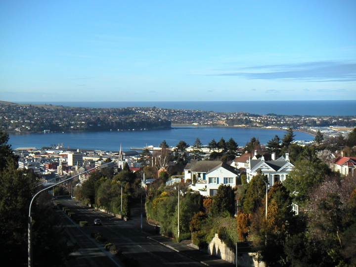 Just for you, I took my camera along on one of my runs.  Here is beautiful Otago bay as seen from an overpass.
