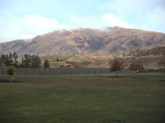 ...wineries and mountains (and check out the rainbow just left of center)...
