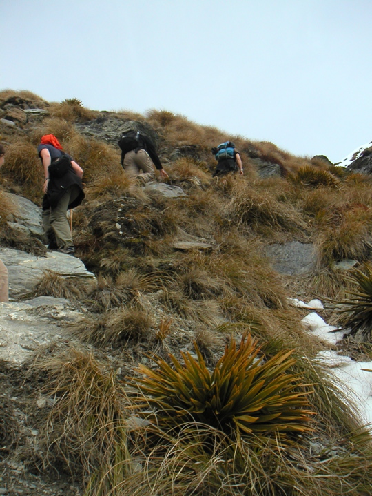 The Germans making their way up the mountain with us.  Since we were trying to avoid snow patches, we had to abandon the trail and scramble upwards...