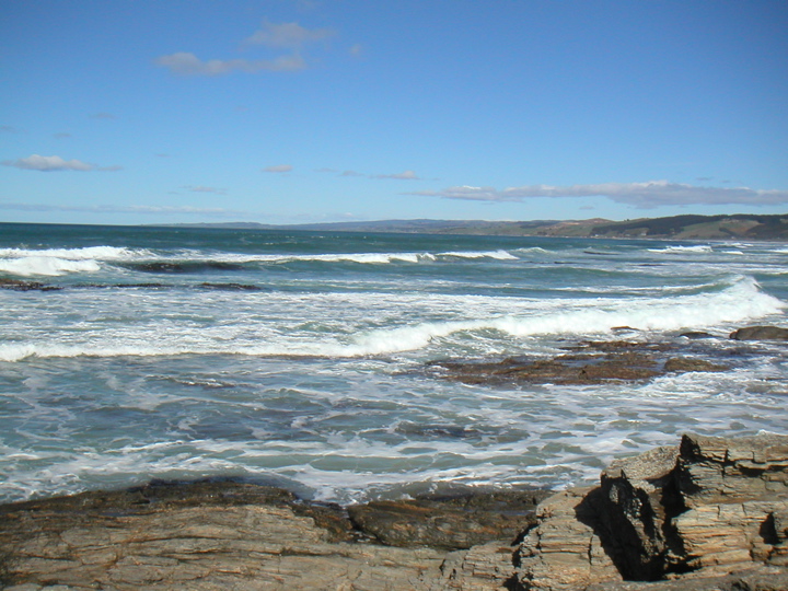 It was a gorgeous day and we were tempted to just stay at the beach.