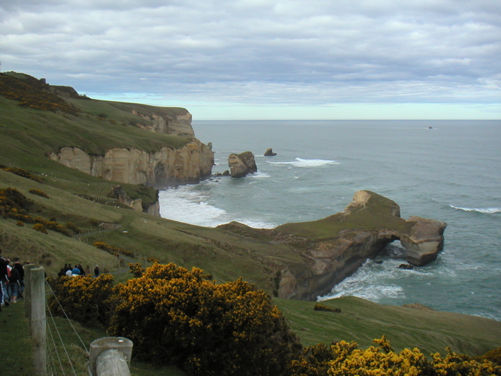 Our final stop (I have spared you many intermediate mudstones and siltstones) was at a place called Tunnel Beach out on the coast of NZ.  Here we are hiking down to the beach.