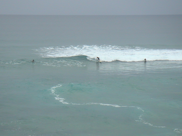 The bus tour took us to Phillips Is., about an hour drive from Melbourne.  We stopped at a beach and checked out the surfers.