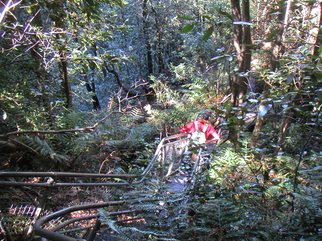 The trail down into the valley was essentially built on cliffs, and mostly made of up staircases like this.