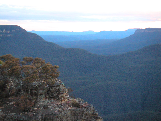 As you can see, the Blue Mountains really do look blue!  It was around this time that we realized we were still quite a ways from town and the sun was quickly leaving us.  We started hiking back at a fast clip and arrived just before dark.  Spooky... because Australia (unlike NZ) does in fact have various scary poisonous things.