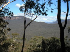 This is representative of the view as we walked along the base of the cliff.  The valley is totally covered with eucalyptus forests.