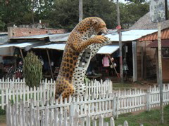 For some reason most of the public telephones were inside large vicious animals