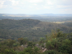 We walked up to a viewpoint... and looked at the view