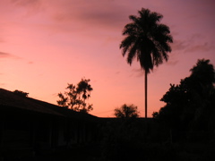 I *love* sunset shots