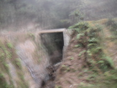 Artsy motion photo of a sweet bridge in the misty fog