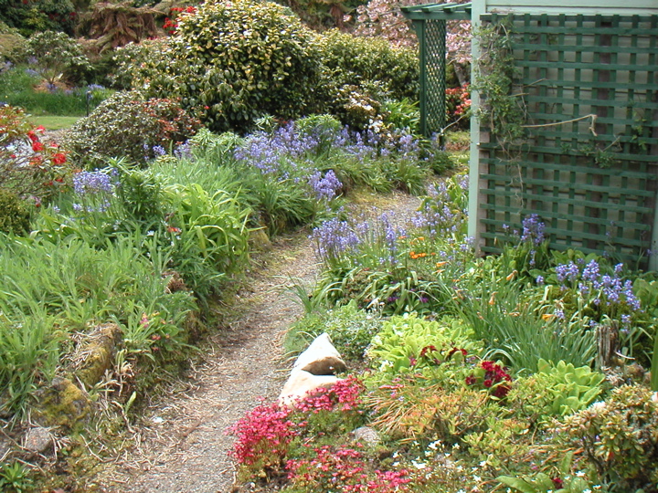 I stayed in a hostel with a beautiful spring garden.