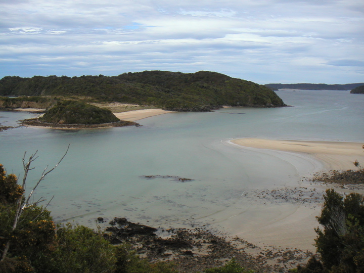 The first afternoon I hiked around Halfmoon Bay (the area where the few people of Stewart Is. live) a bit.