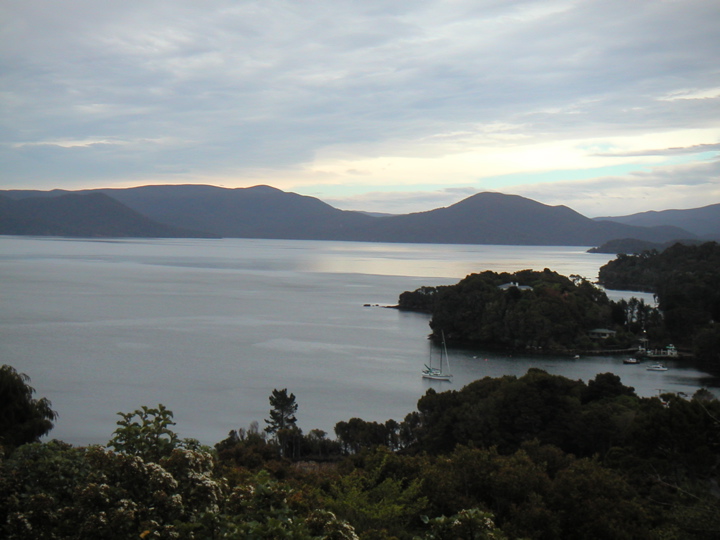 The next morning I saw the election results on the headlines of the local paper, and set off to Ulva Island, a bird sanctuary island.