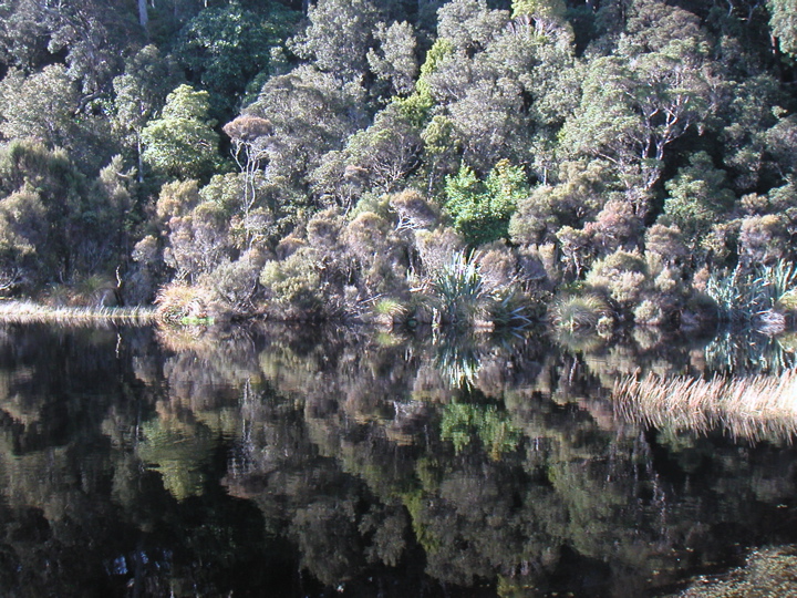 I took another short hike down to mirrorlike Lake Wilkie, which includes a boardwalk through the swampy lake edge.  Once again, there was no one else in sight.  It's not often that you see such beautiful places, and even less often that they are so undisturbed.