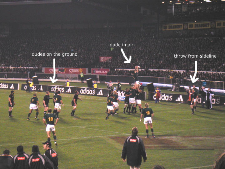 Here is an action shot of one of the cool moves they do in rugby -- the dude is being lifted into the air to catch the ball that was thrown in from out of bounds.