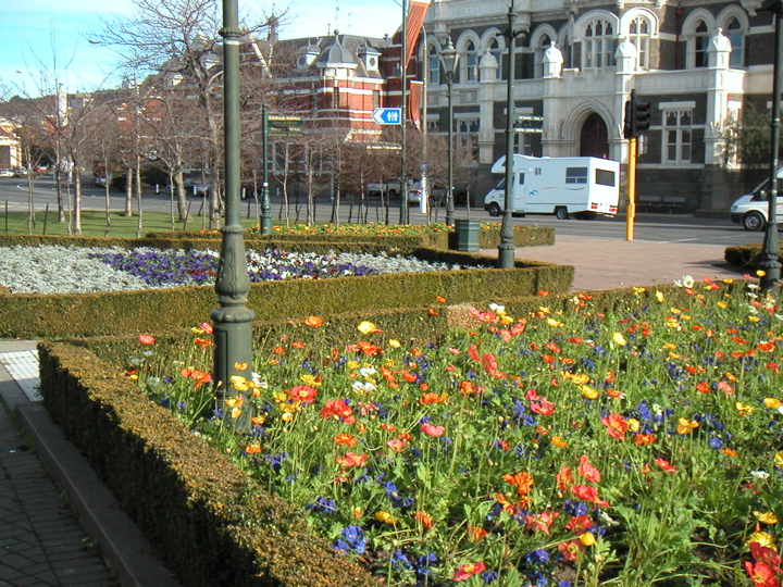 I couldn't believe it, they had all these flowers outside of the station!  It's the middle of winter now, people!  I'm pretty sure they weren't fake...