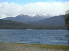 I travelled alone by bus to Lake Te Anau on the outskirts of Fiordland, found my hostel, and set off hiking along the lake.
