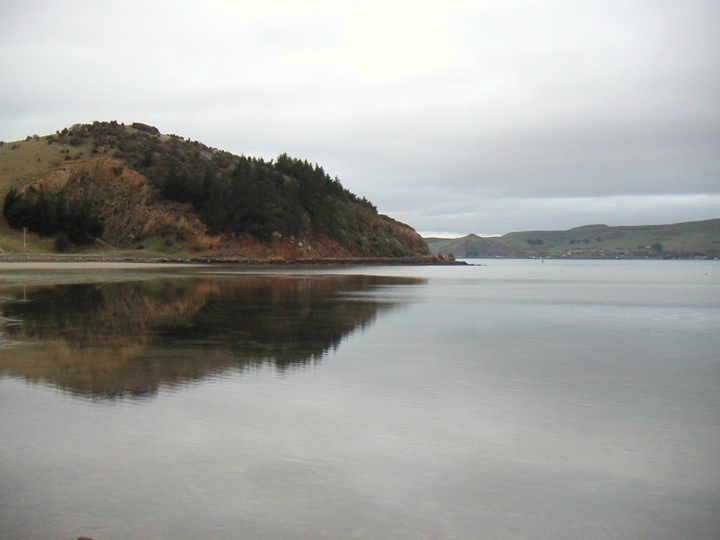 On this cloudy Saturday I had a Geology field trip around the mainland side of the Otago Harbour.  Here is one of those classic reflection-in-the-water photos.
