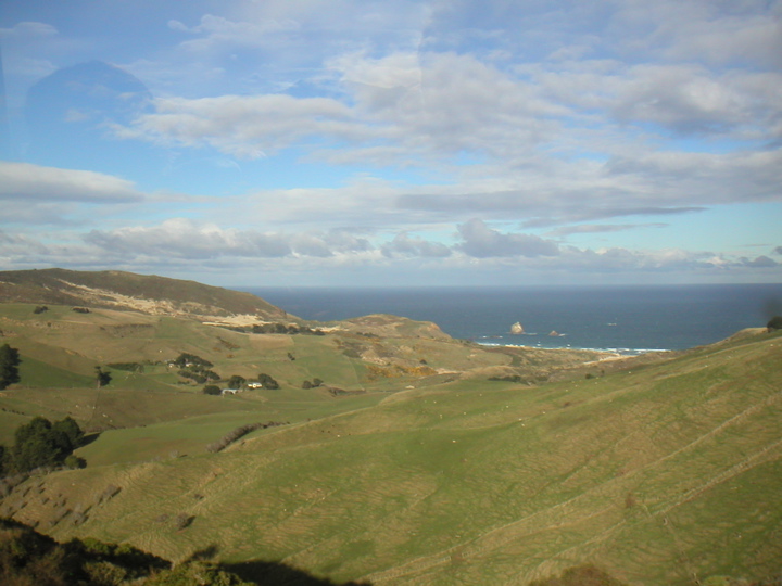 I decided that until i take Geology here, I will just assume that NZ basically popped up out of the ocean.  Right, like toast.