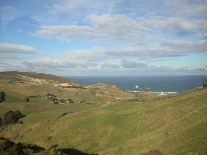 I decided that until i take Geology here, I will just assume that NZ basically popped up out of the ocean.  Right, like toast.