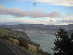 view of Dunedin from the other side of the bay