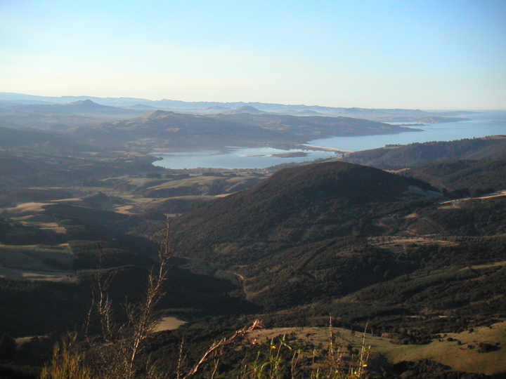 Now THAT's what I call a view.  We had almost reached the top.  You are looking along the east coast of New Zealand.
