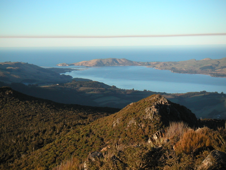The mouth of Otago Peninsula.  On the bus tour we drove out all the way to the lumpy end.