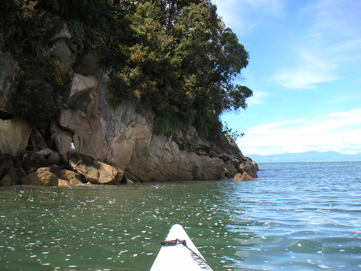 Here I am exploring the peaceful waters behind a mini island.  The seagulls had very orange beaks.