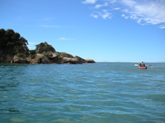 After staying in Nelson for the night, we drove to Able Tasman, a big national park in the northwest corner of the South Island and rented kayaks for a few hours.  Wow...