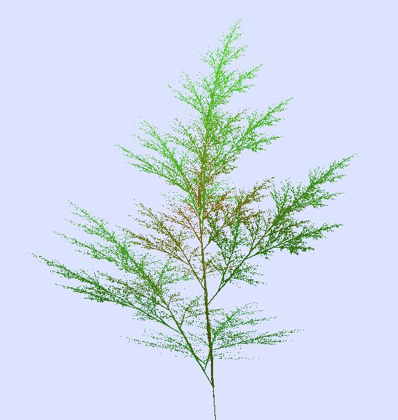 A fractal sapling